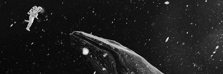 constelaxiu's profile banner image