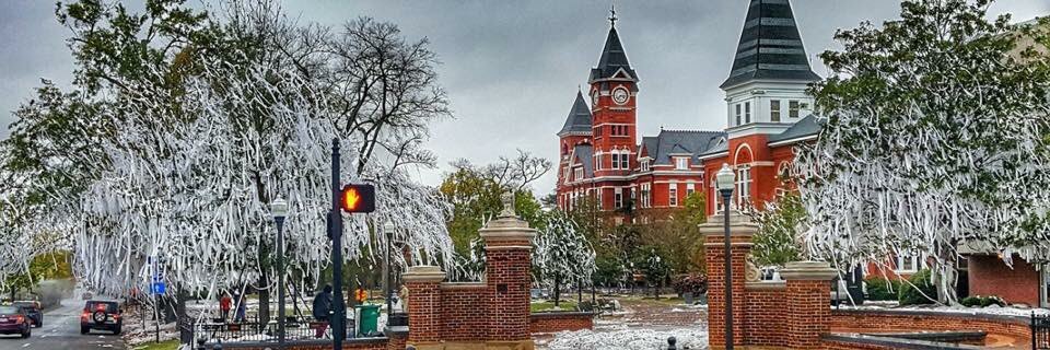 Taylor Howard banner