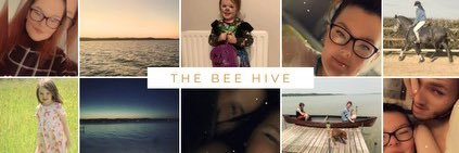 The Bee Hive 🐝 banner