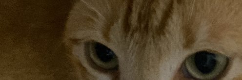 val banner
