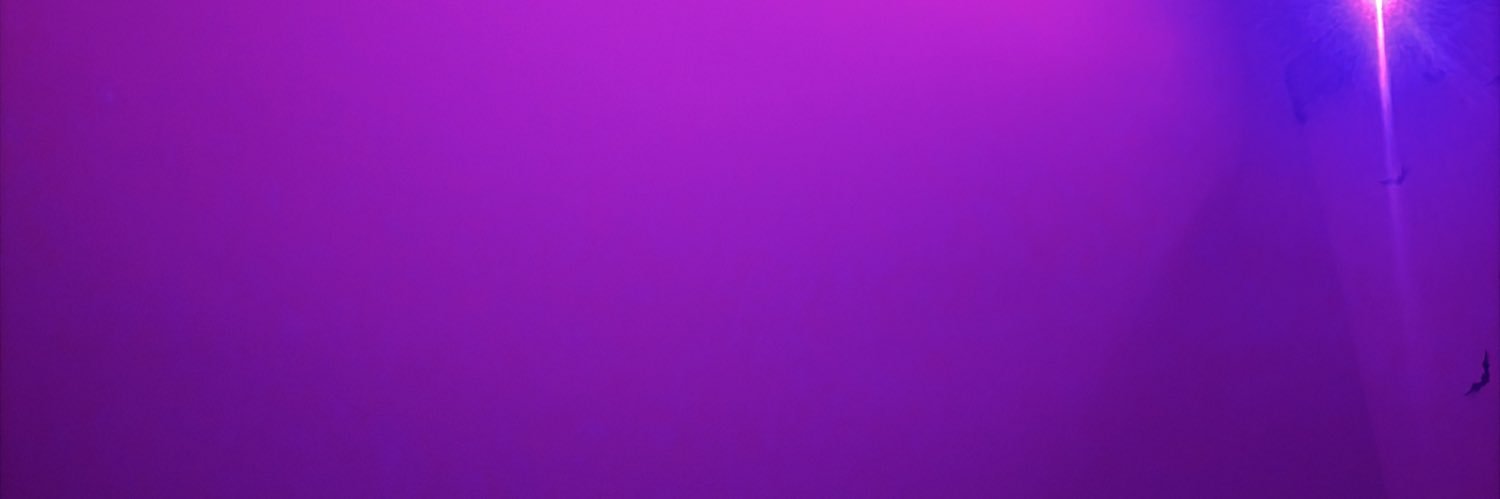 Pearsssssss's profile banner image