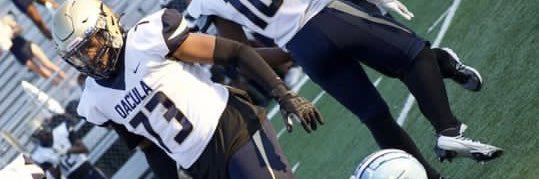Israel Williams banner