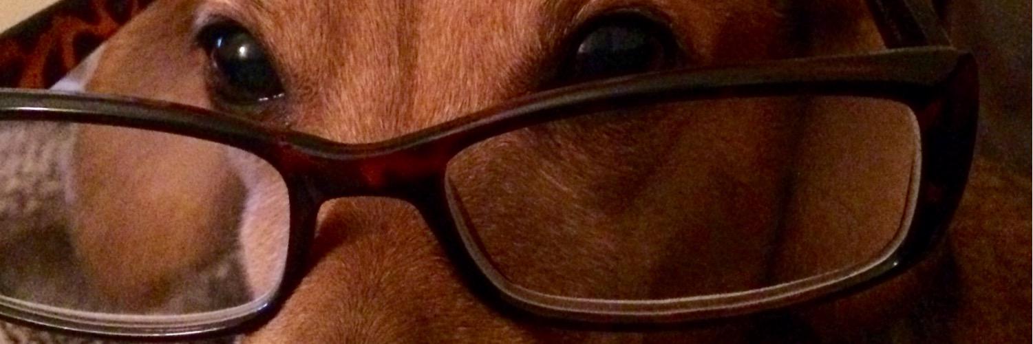 allcarolbaker's profile banner image