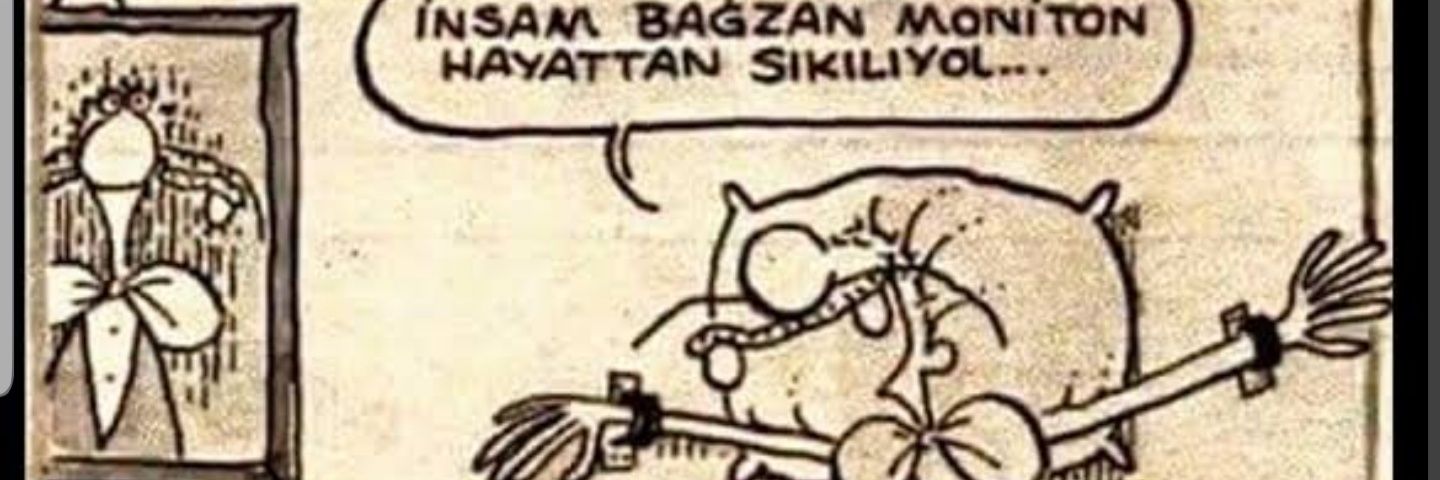 emikocak's profile banner image