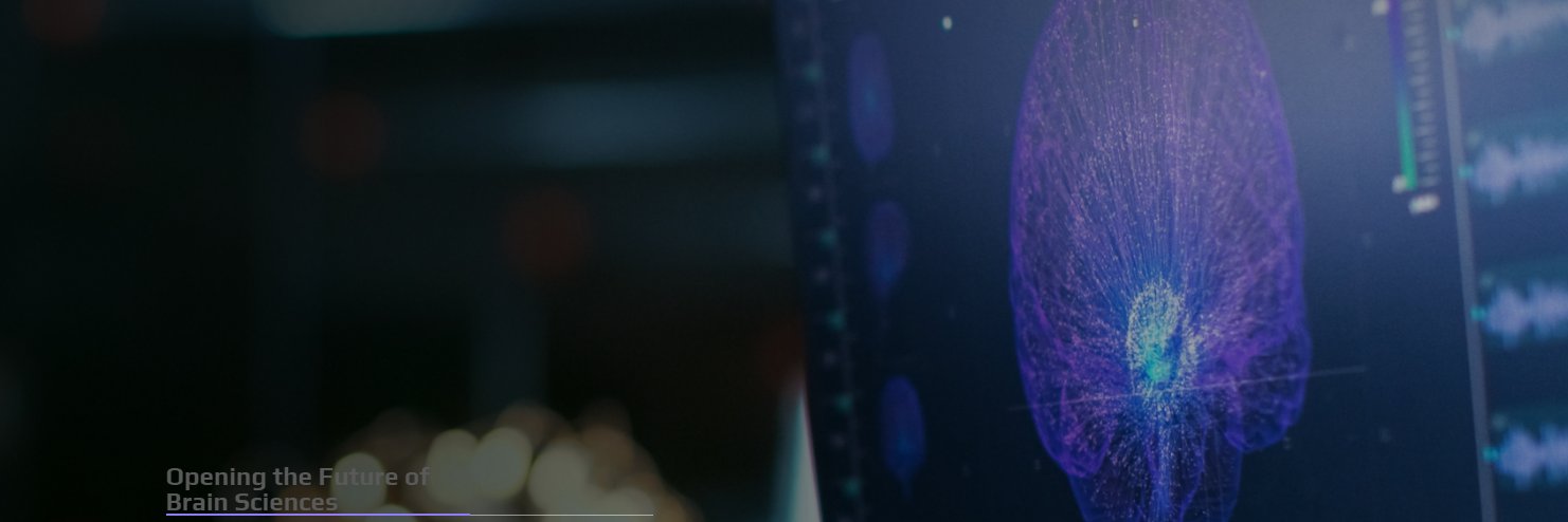 카이스트 뇌인지과학과 banner