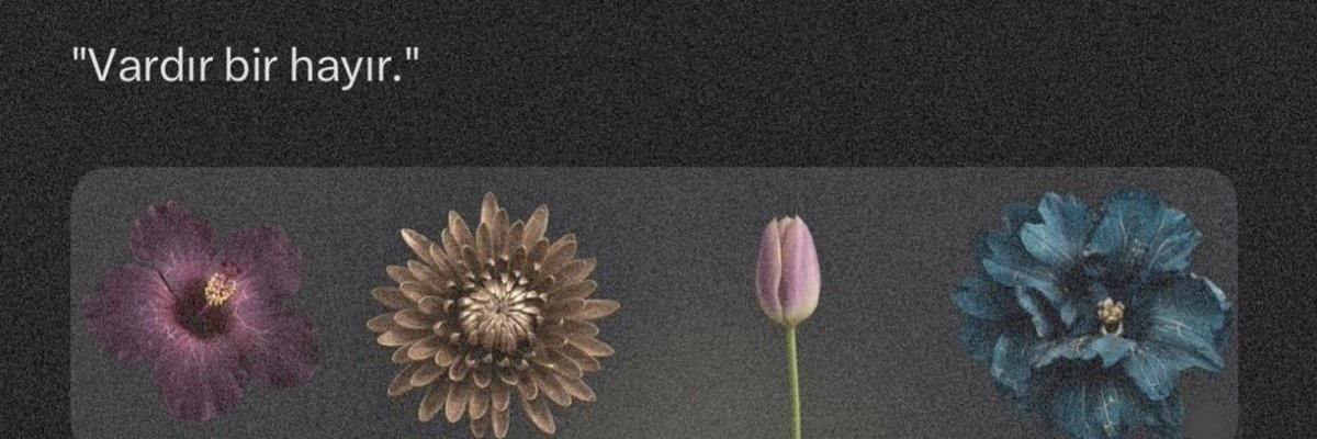HaticeeDogaan's profile banner image