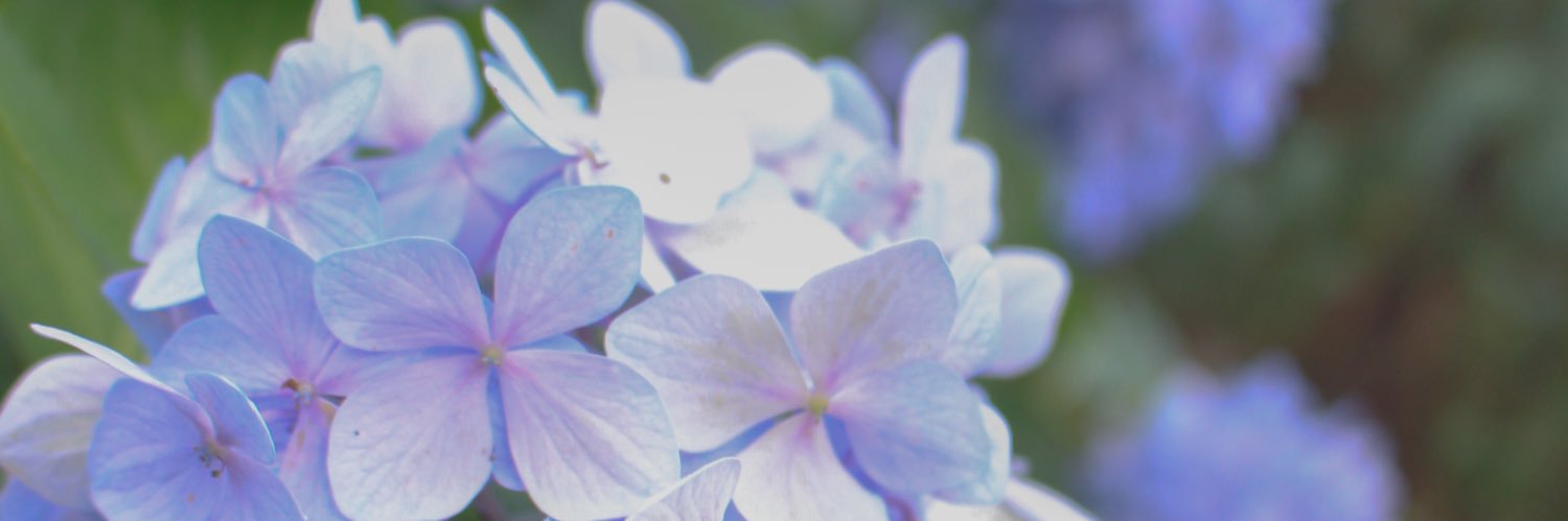 _mk_torihiki_'s profile banner image