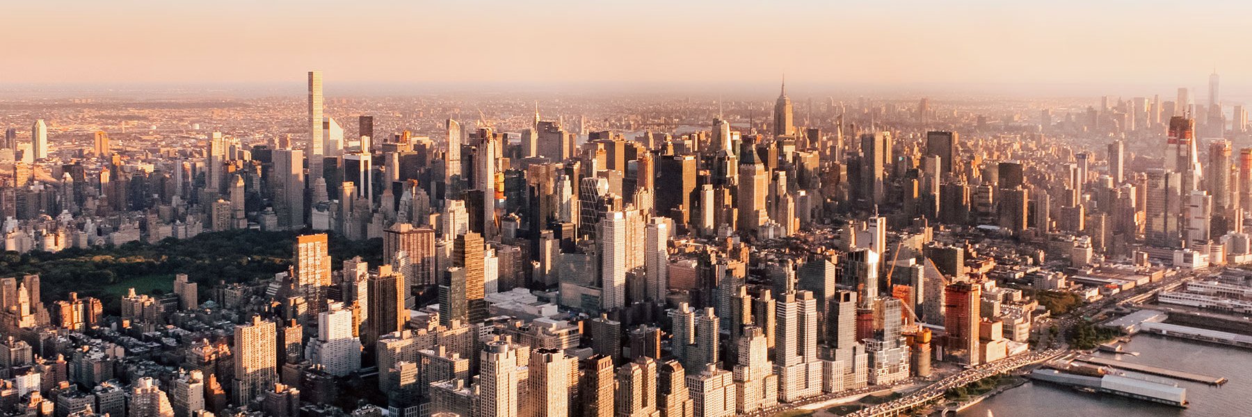 Peter MacRobert banner