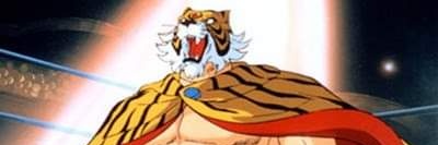 נמר הכסף banner