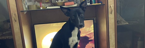 ShrijeetNair06 Profile Banner