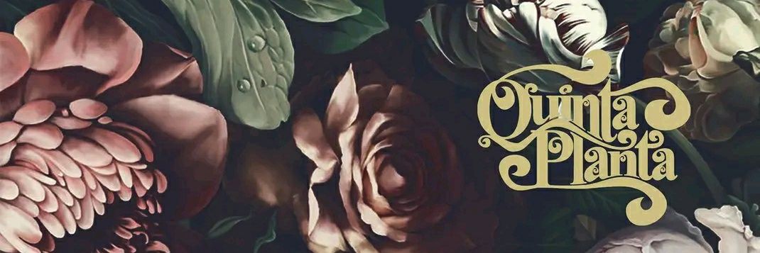 quintaplanta's profile banner image