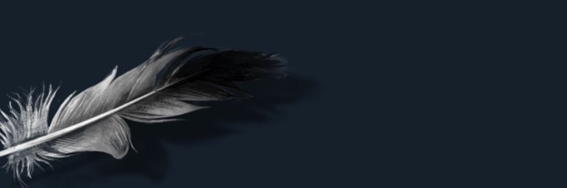 serverazuzu's profile banner image