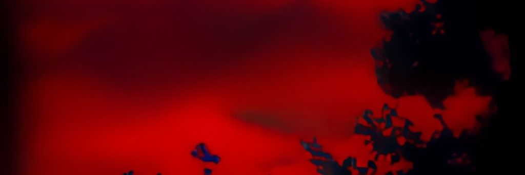 Zitsu_'s profile banner image
