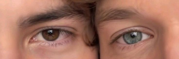 Ran udah ketemu ateez of san banner