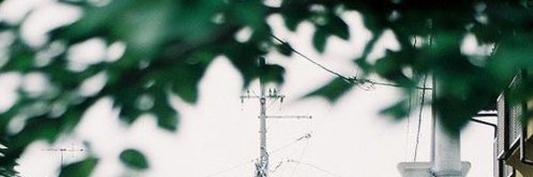 forourloving_ Profile Banner