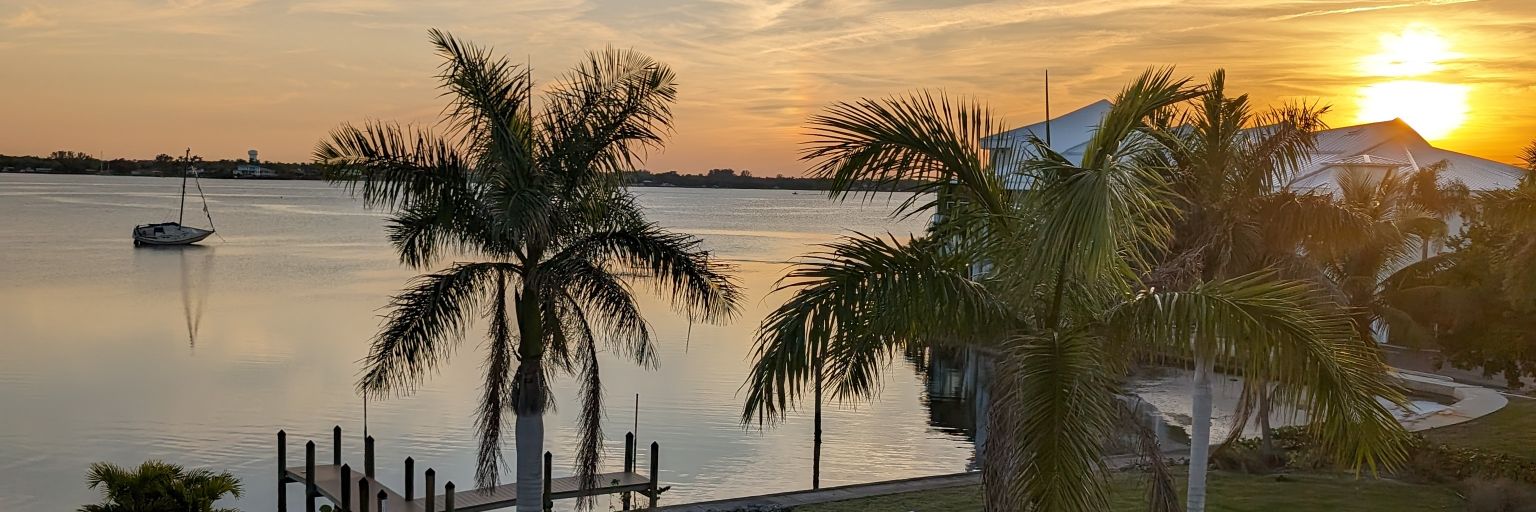 Florida Man banner