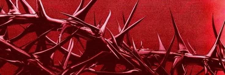 L Z banner