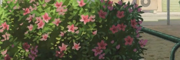 ppuangjjoo Profile Banner