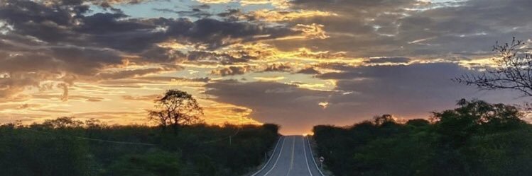 LenizeCosta's profile banner image
