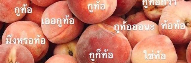 ___1163___'s profile banner image