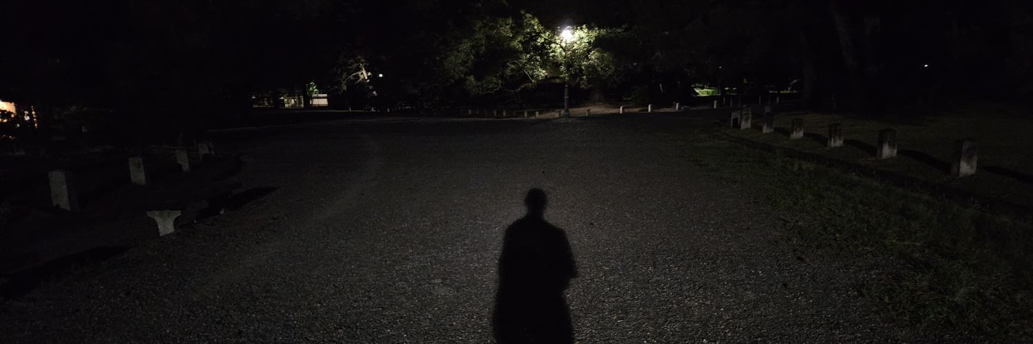dmtndomi's profile banner image