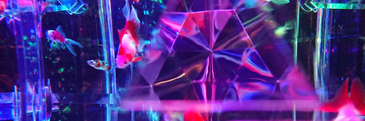 ryocoral's profile banner image