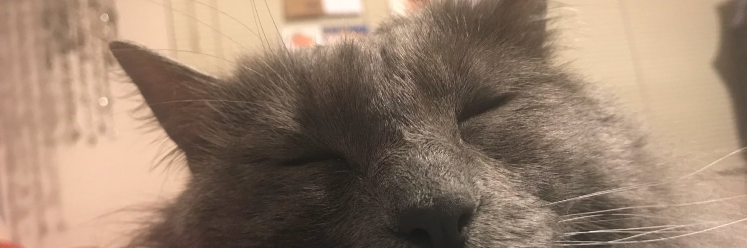 karliroselowry's profile banner image