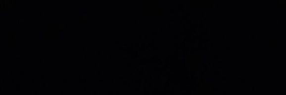 𝗙. banner