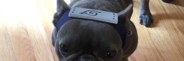 MidniteHoshi Profile Banner