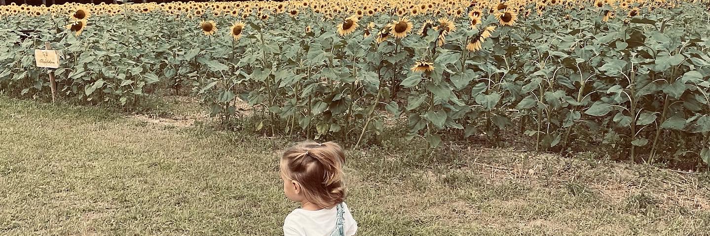 HannahPepper21's profile banner image