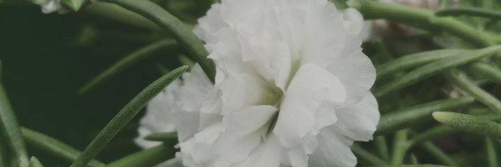 alvvvnn's profile banner image