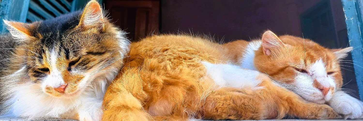 wallacesurce's profile banner image