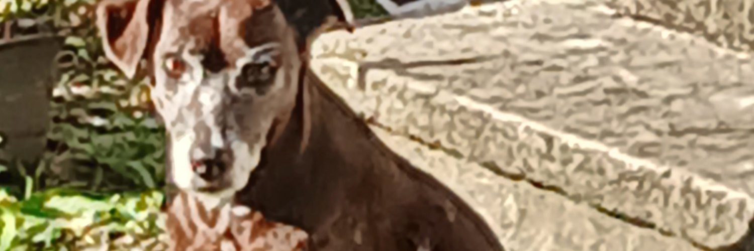 r_silbx's profile banner image