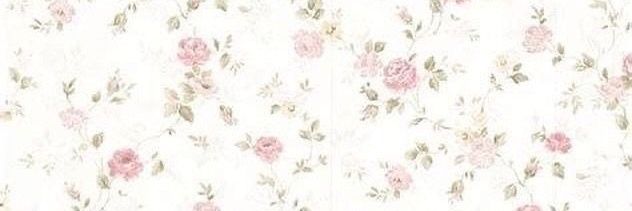 Asyaa banner