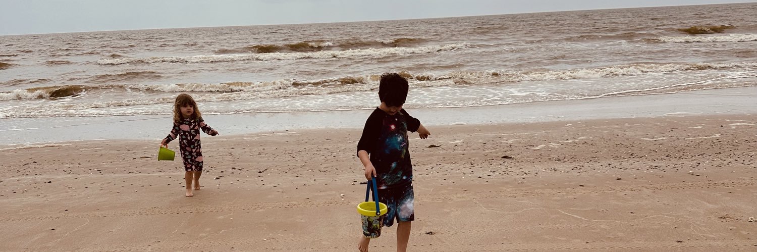 Houston Hayes banner