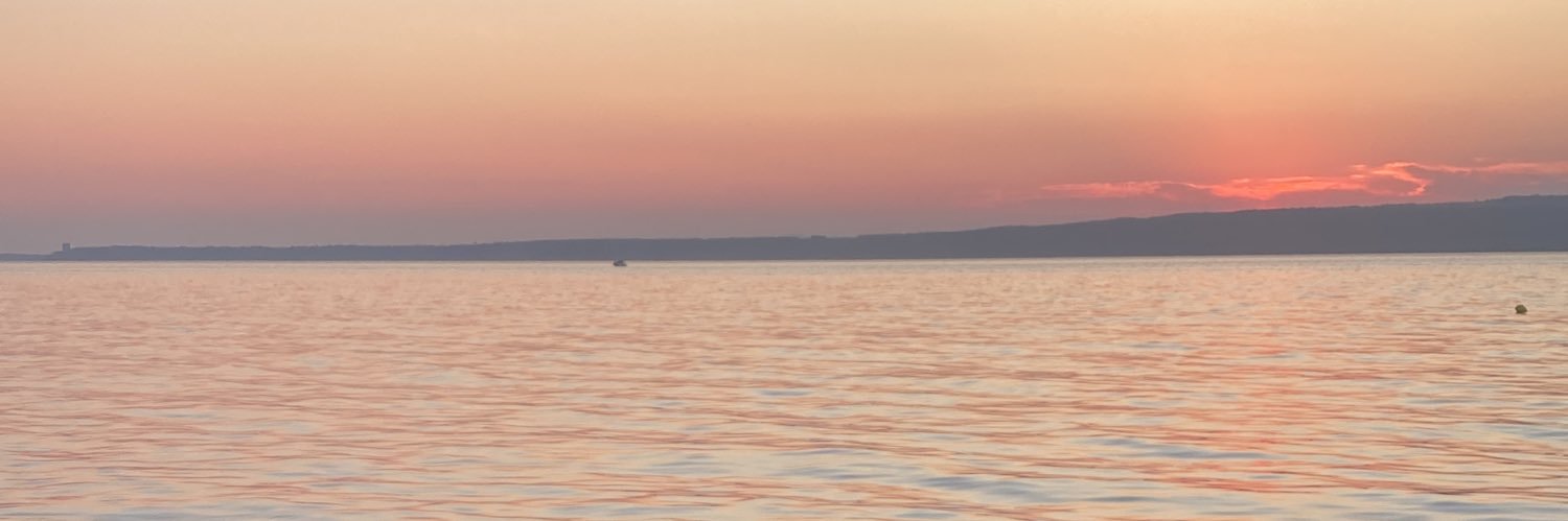 saybeyzos's profile banner image