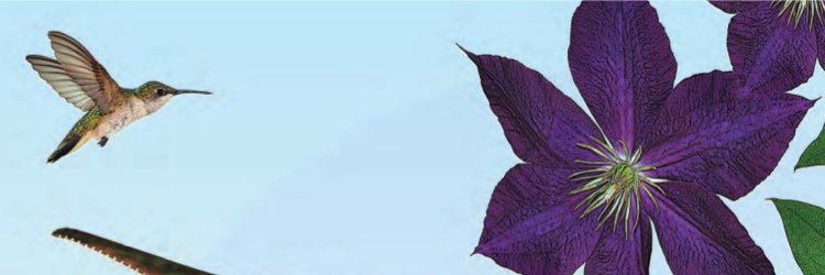 MarNarri's profile banner image