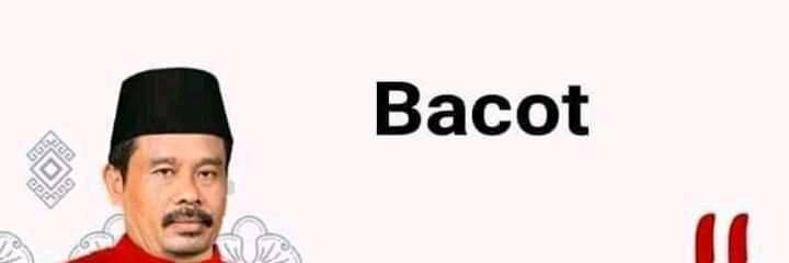 Kugy Chameleon banner