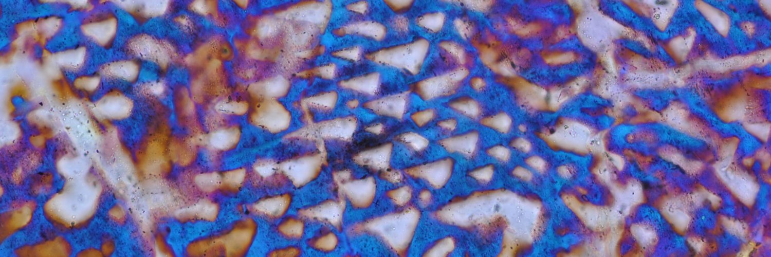 Pascal Olschewski banner