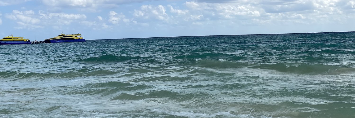 MFernandaMV's profile banner image