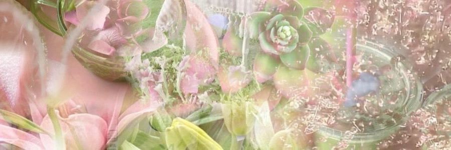 Jax ⋆˚꩜｡ banner