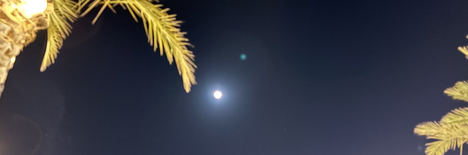 ward_312's profile banner image
