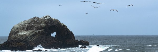 catharyn4 Profile Banner