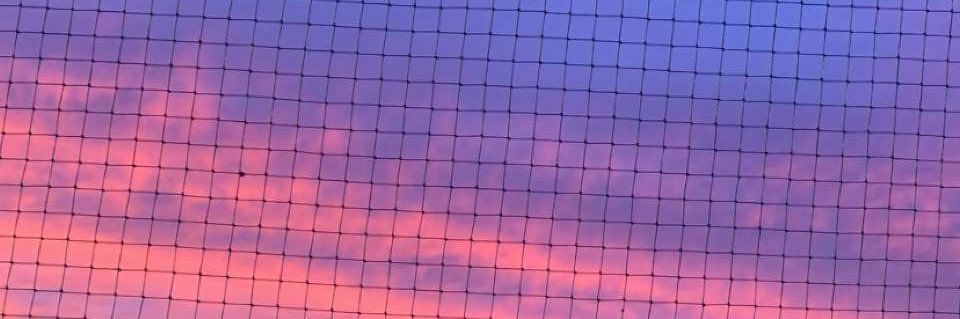 Sidelines-Cbb banner