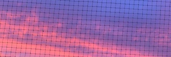 CbbhoopsUpdates Profile Banner