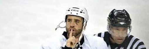 typical pitt fan banner