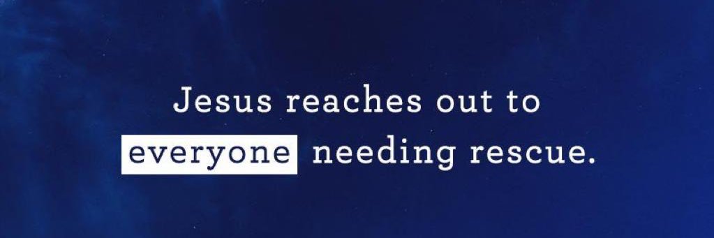 qnsqtee's profile banner image