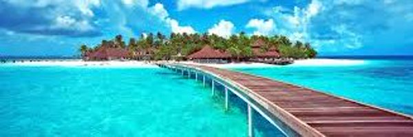 staffcacas Profile Banner