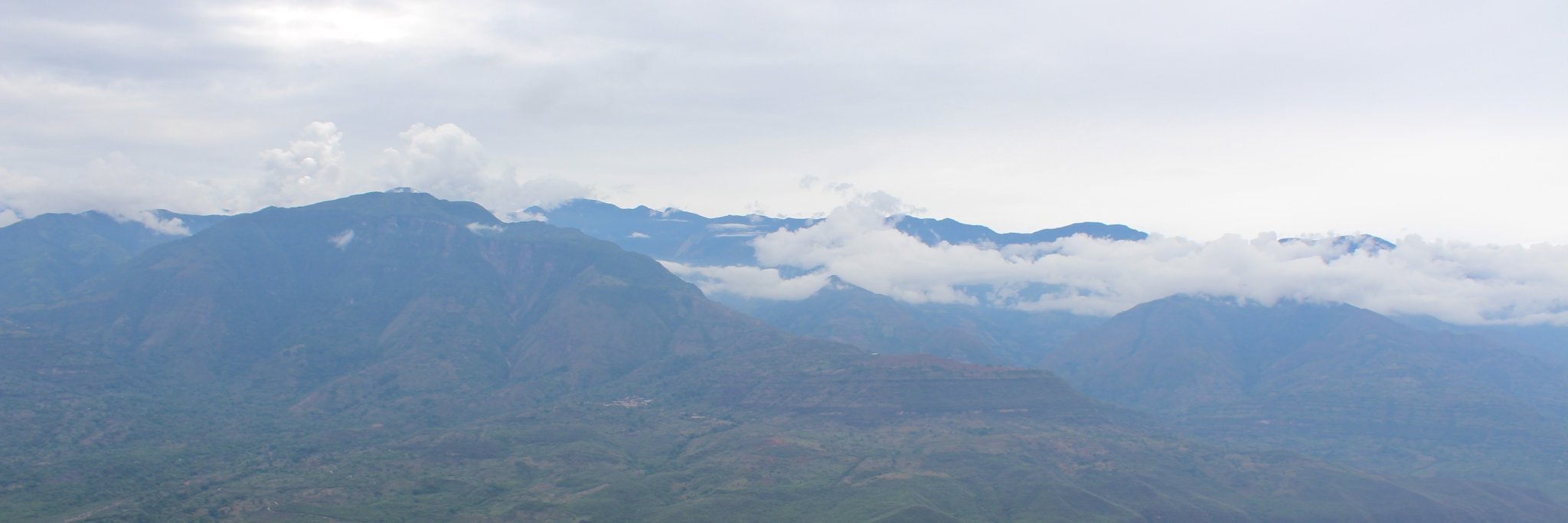 oscardo's profile banner image