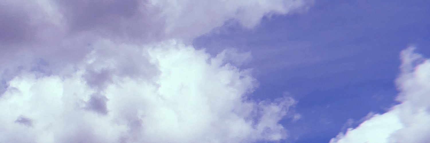 CamiCarloni's profile banner image